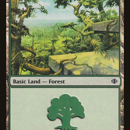 247-forest