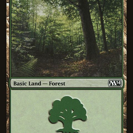 247-forest