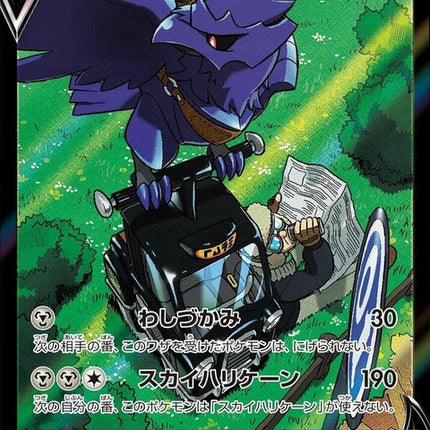 248-corviknightv