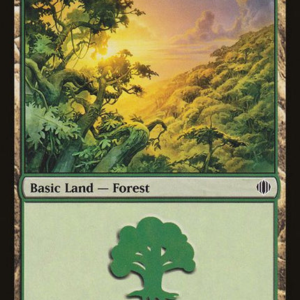 248-forest