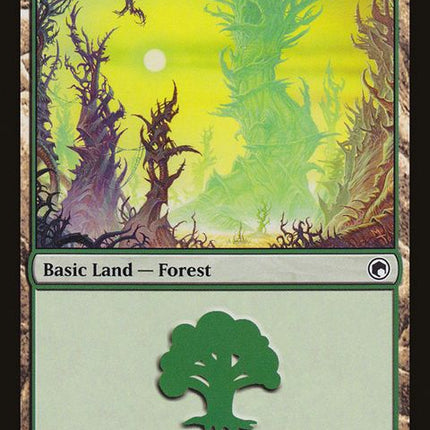 248-forest