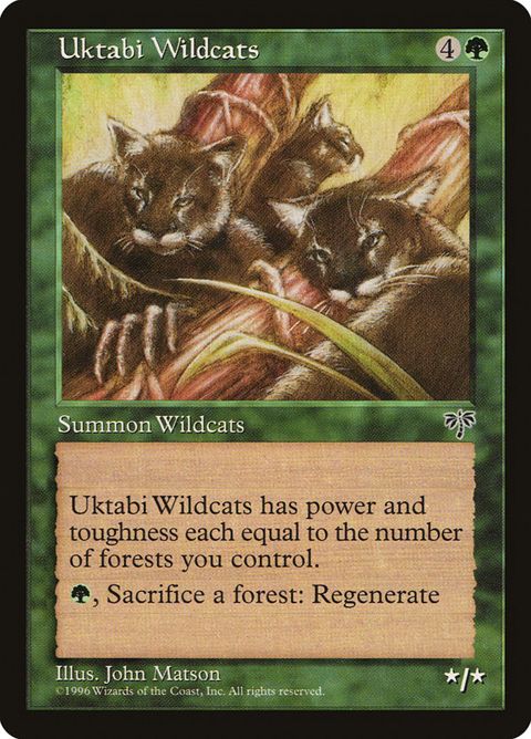 248-uktabiwildcats
