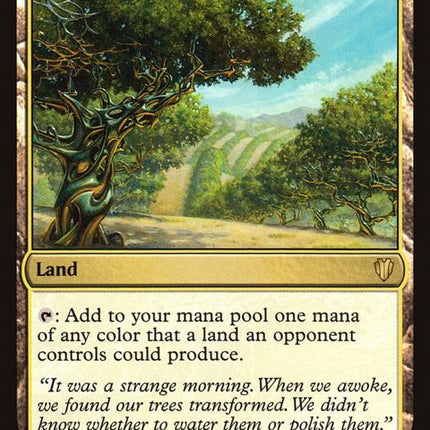 249-exoticorchard