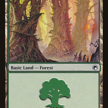 249-forest