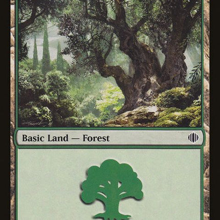 249-forest