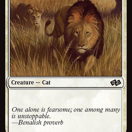 249-savannahlions