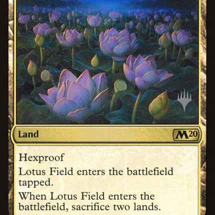 249p-lotusfield