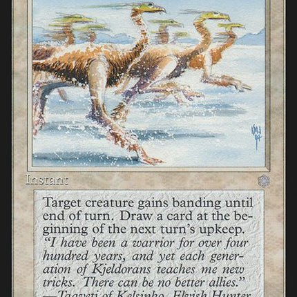 25-formation