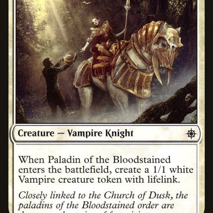 25-paladinofthebloodstained