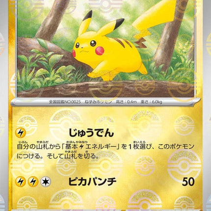 25-pikachu-pokeballpattern