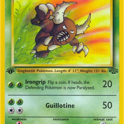 25-pinsir