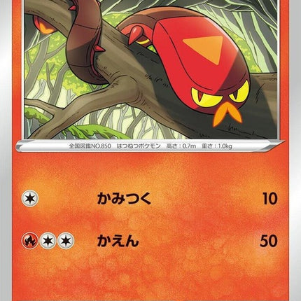 25-sizzlipede