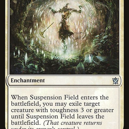 25-suspensionfield