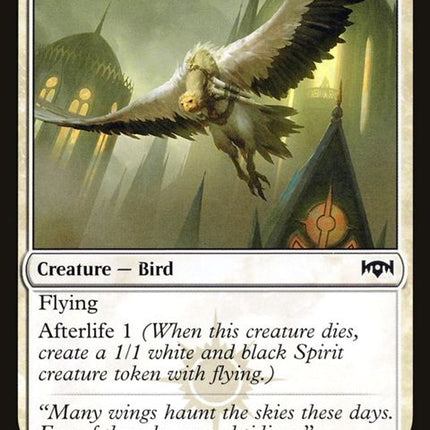 25-syndicatemessenger
