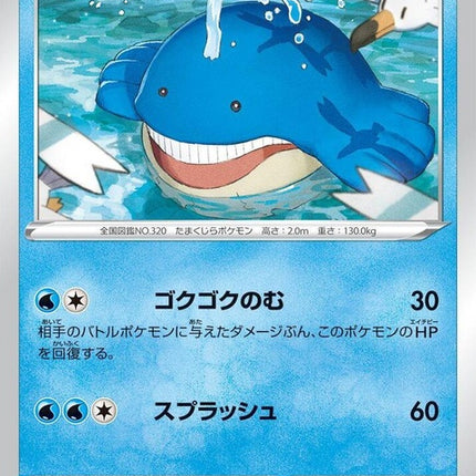 25-wailmer