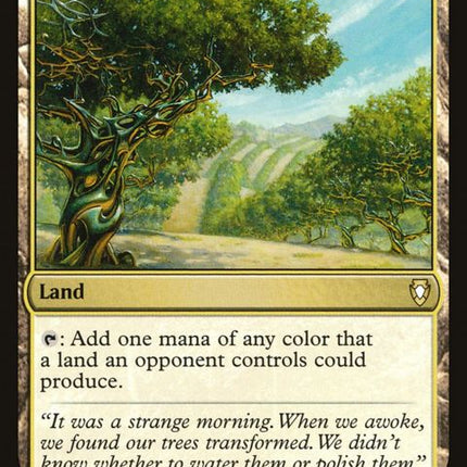250-exoticorchard