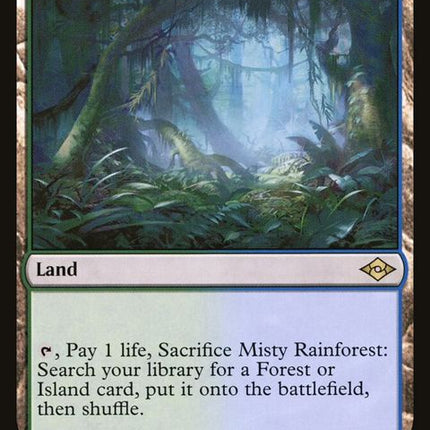 250-mistyrainforest