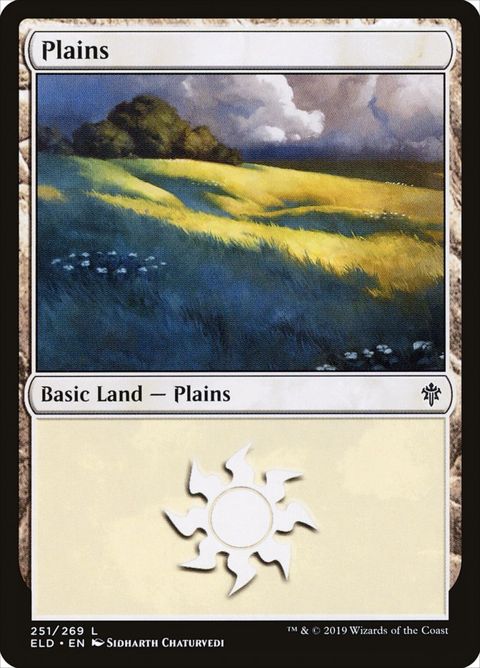 251-plains