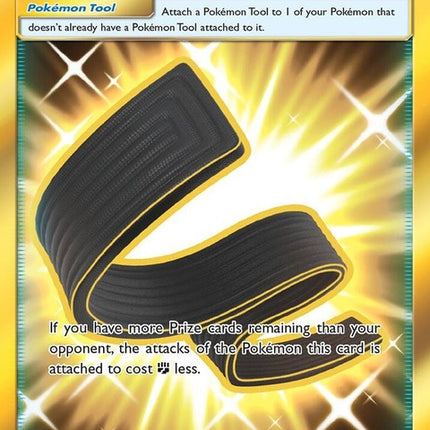 252-karatebelt-secret
