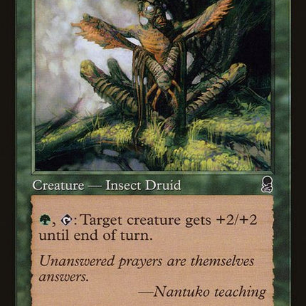 253-nantukodisciple
