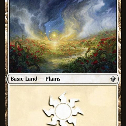 253-plains