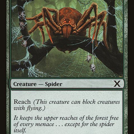 254-canopyspider