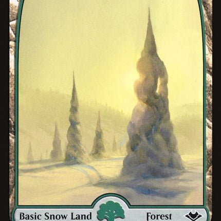 254-snowcoveredforest