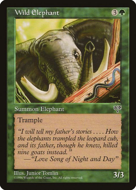 254-wildelephant