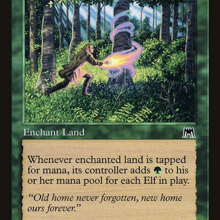 255-elvishguidance