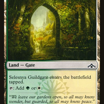 256-selesnyaguildgate