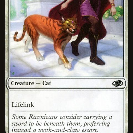 256-trainedcaracal