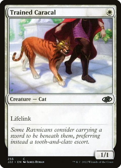 256-trainedcaracal