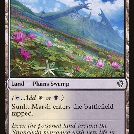 257-sunlitmarsh