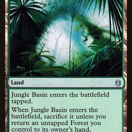 258-junglebasin