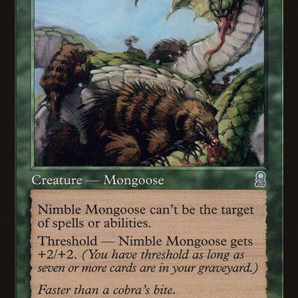 258-nimblemongoose