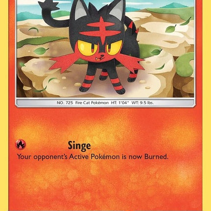 26-litten