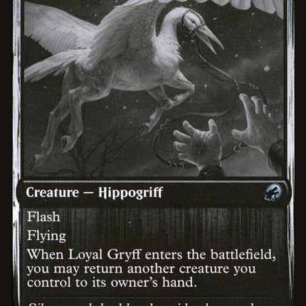 26-loyalgryff