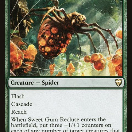 260-sweetgumrecluse
