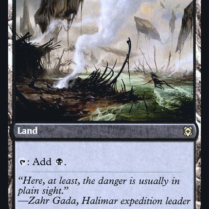 260s-clearwaterpathwaymurkwaterpathway-b