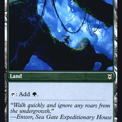 261s-cragcrownpathwaytimbercrownpathway-b