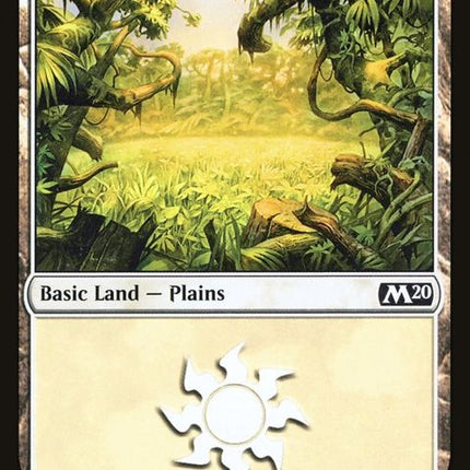 262-plains