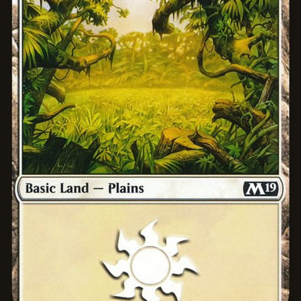 262-plains