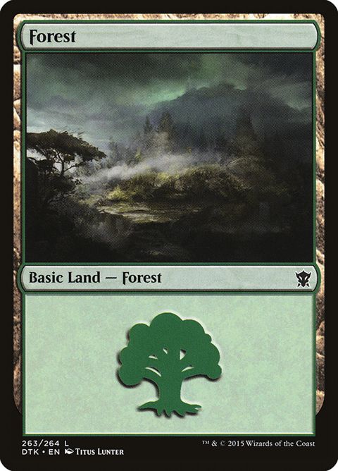 263-forest