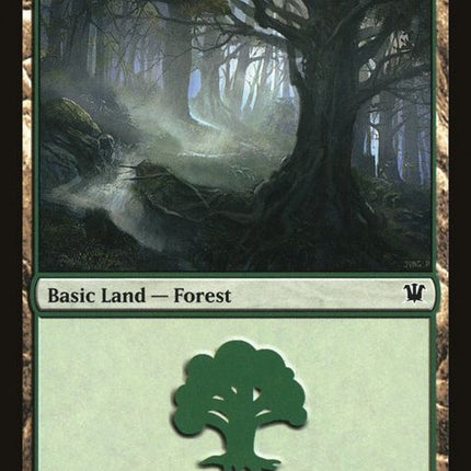 263-forest