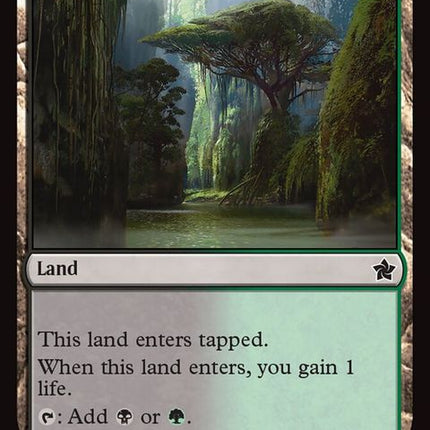 263-junglehollow