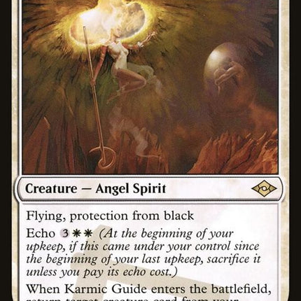 263-karmicguide