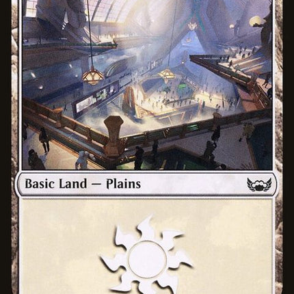 263-plains