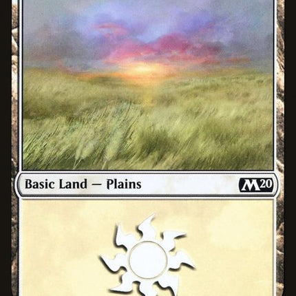 263-plains