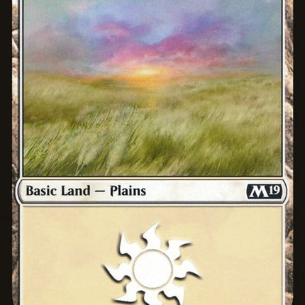 263-plains