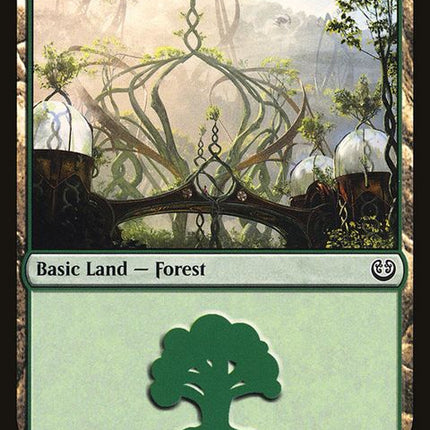 264-forest